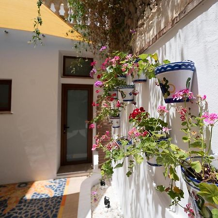 Apartamento Andalucia 콤페타 외부 사진